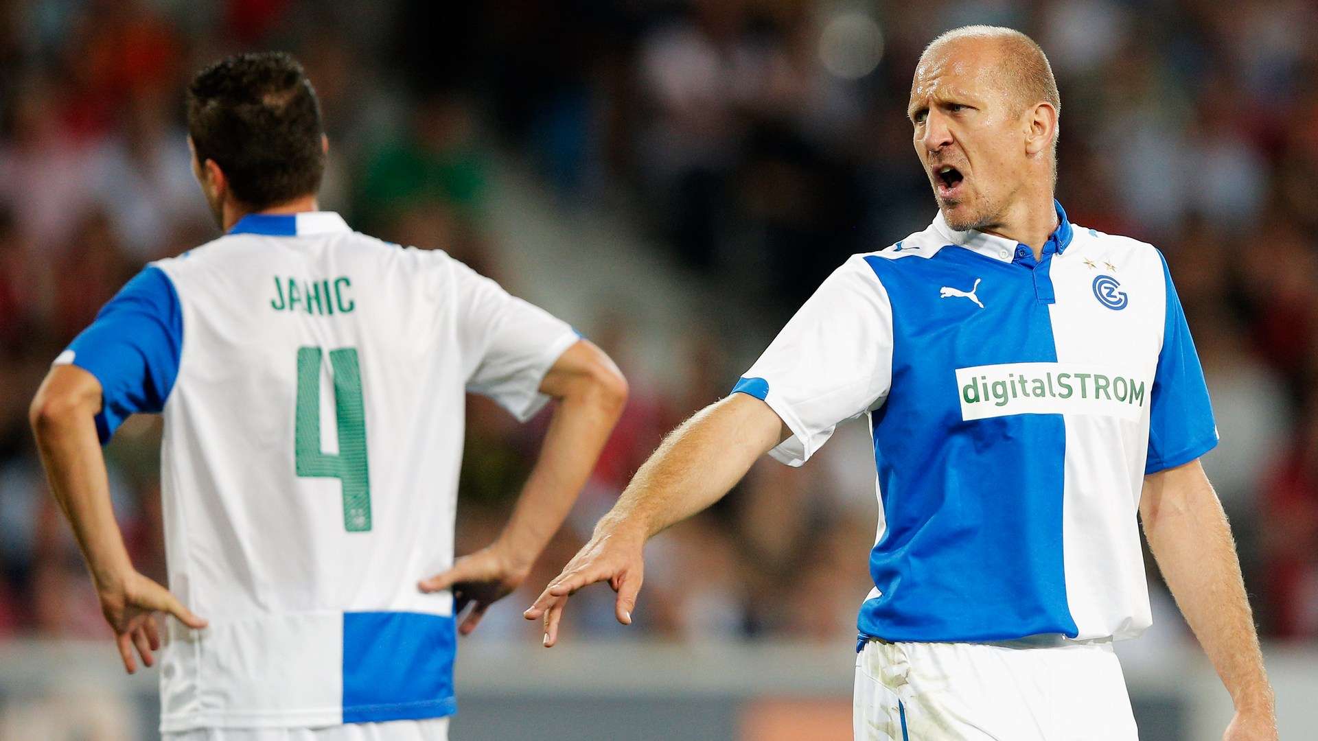 均有亮眼表 均有亮眼表