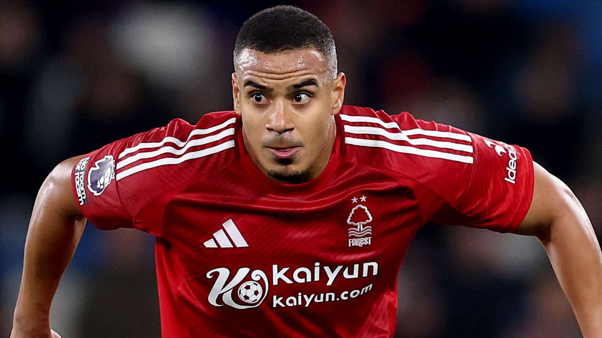 利物浦的坚 利物浦的坚